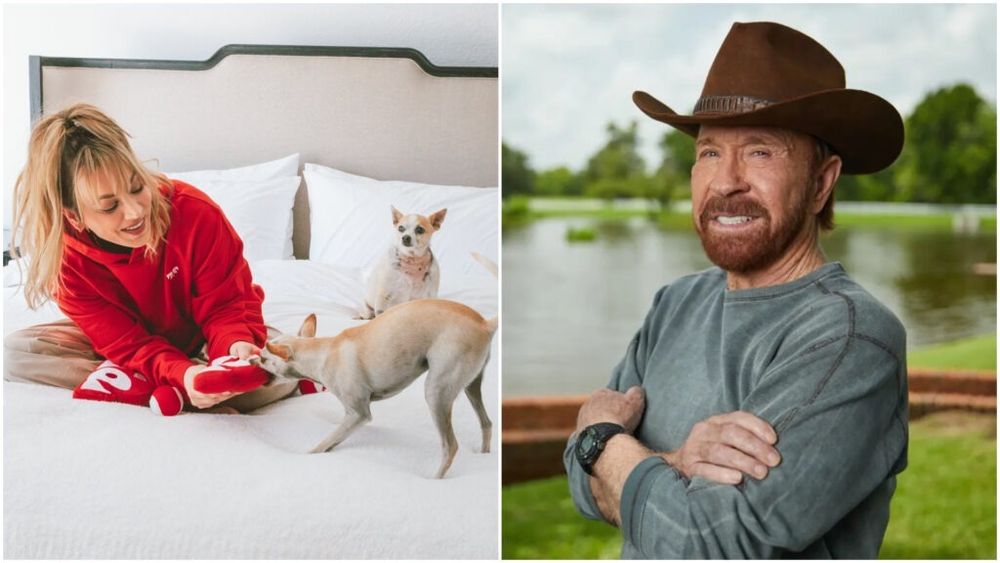 Chuck Norris a intrat recent pe piață. Iată ce alte celebrități au lansat mărci de hrană pentru animale de companie