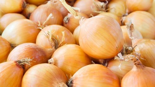 Ceapa ucraineană e tot mai prezentă pe piața europeană