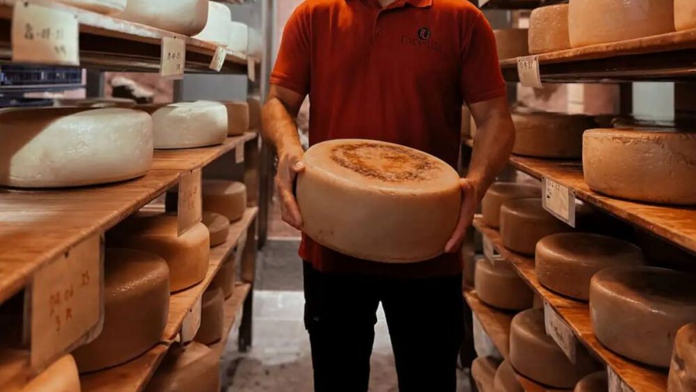 Cea mai bună brânză din Spania se numește „Don Nicolás” și este obținută din lapte de vacă, la o fermă situată în Insulele Canare