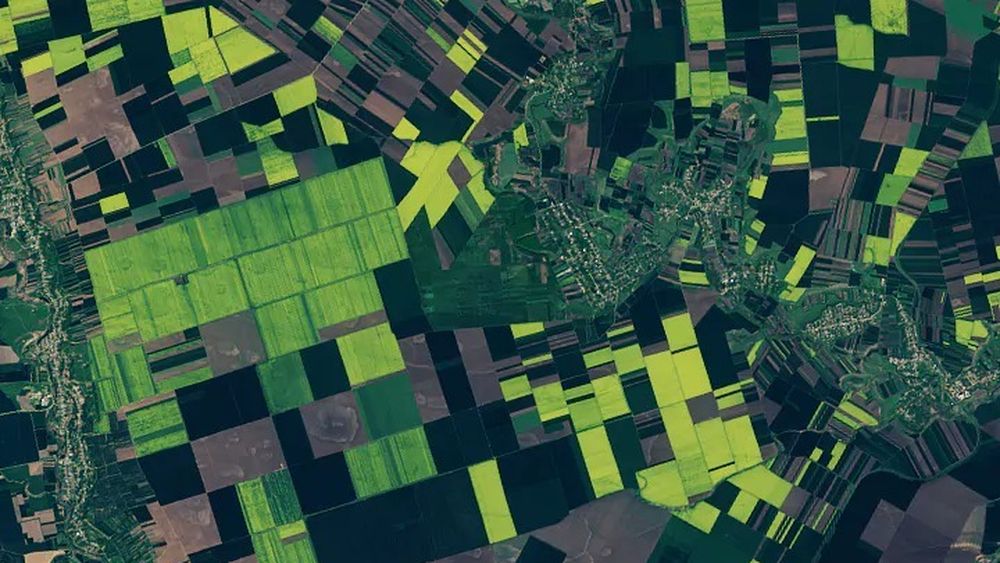 FOTO Lanurile de rapiță din sudul României, surprinse de un satelit al NASA