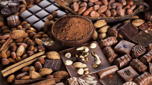 Degustări cu pralina-probiotic cu zeama de varză şi lapte fermentat, la târgul Chocolate Saga din București