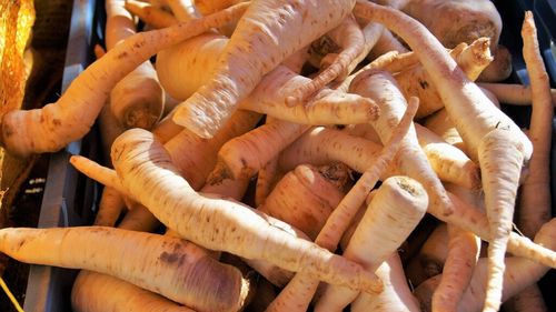 Pătrunjel rădăcină: Este sărac în calorii, dar extrem de bogat în vitamine și minerale / Sucul de rădăcină de pătrunjel poate ajuta procesul de detoxifiere a ficatului / Potențial anticancerigen și alte proprietăți benefice