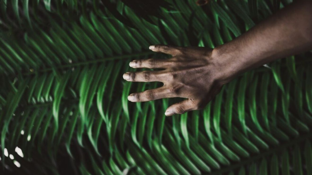 Artrita reumatoidă și inflamația articulațiilor sunt extrem de întâlnite la femeile de peste 55 de ani. Ce alimente să consumi și pe care să le eviți pentru a încerca să reduci durerile și rigiditatea