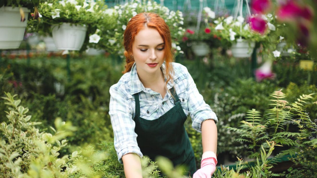 Cum să-ți pregătești grădina înainte de venirea toamnei / Opt lucrări de făcut până la sfârșitul lui august