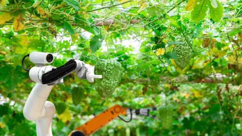 Companie de cercetare: Piața globală de roboți agricoli va depăși pragul de 80 de miliarde de dolari până în 2033 / Anul trecut vânzările au fost de 13 miliarde de dolari