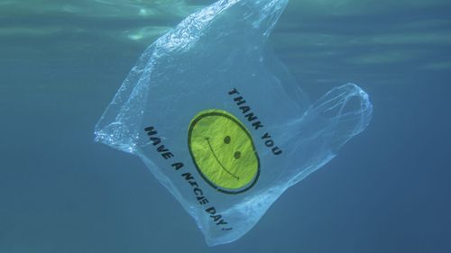 Un plastic pe bază de orz este 100% biodegradabil / Materialul ar putea fi utilizat pentru ambalaje alimentare