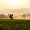 Îngrășământul viitorului? Un nou tip de fertilizant ajunge în SUA după succesul din Europa și promite să reducă costurile din agricultură