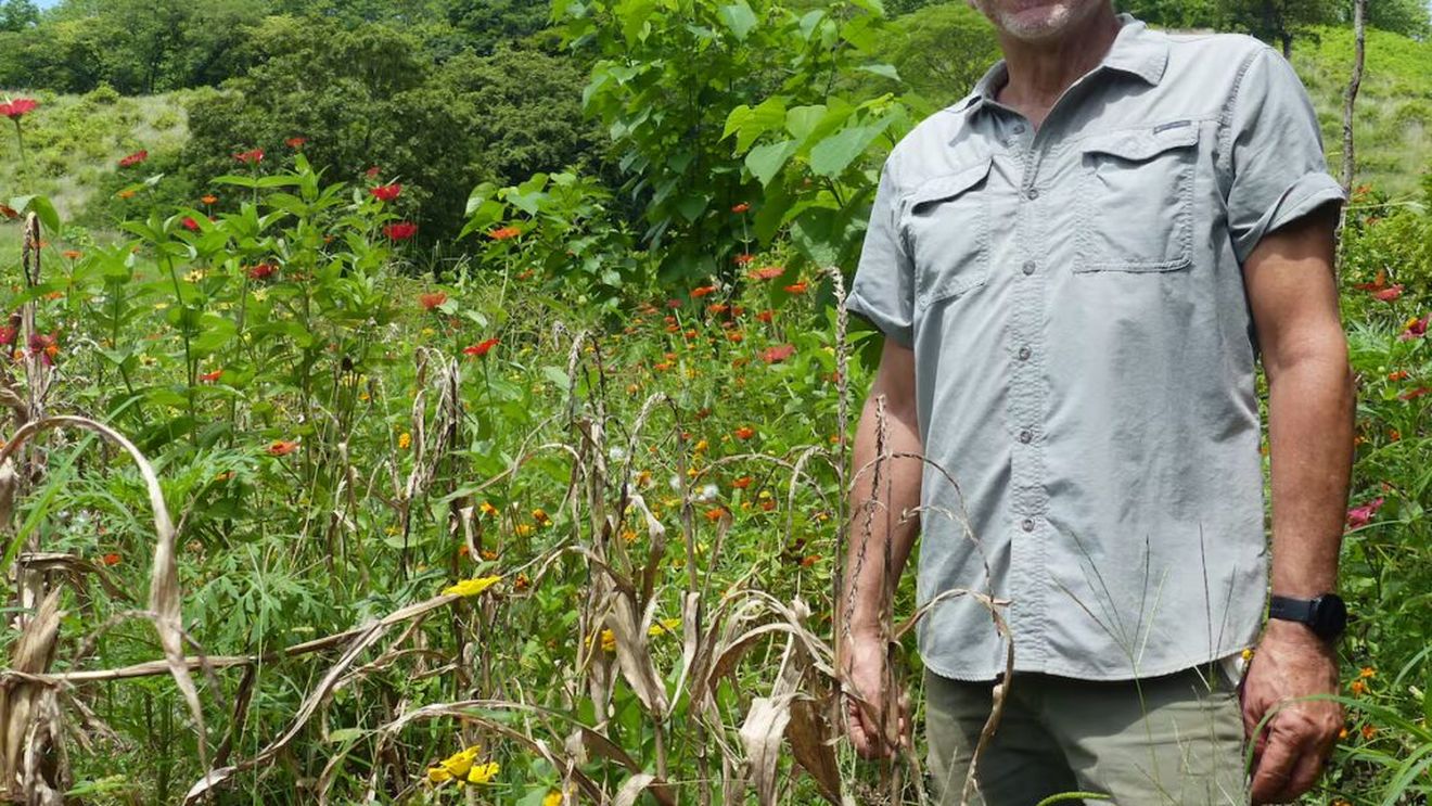 Eduard Müller (cercetător): „Modul în care producem alimente și fibre textile provoacă 80% din daunele aduse planetei” / Regenerarea ecosistemelor fără a provoca daune mediului este cheia pentru a reface solurile degradate