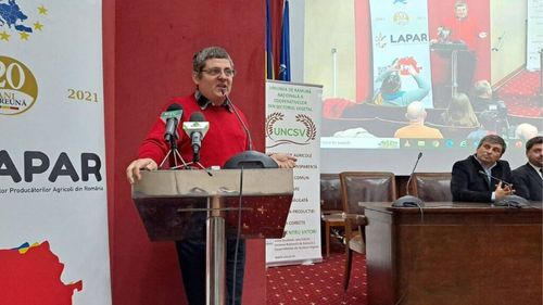 Comisia Europeană reaprinde disputele între fermierii și apicultorii din România. Cultivatorii de porumb spun că nu pot renunța la neonicotinoide