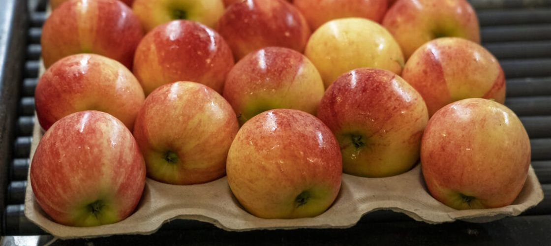 Ai mâncat ani de zile acest ingredient obținut din insecte fără să știi. Se găsește pe mere, pere și alte fructe