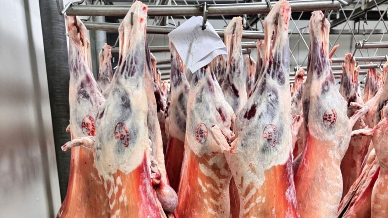 Brazilia și China pregătesc un acord agricol major! Ministrul brazilian al Agriculturii a dezvăluit că înțelegerea include extinderea exporturilor de carne de vită, porc și pui, precum și alte produse agricole