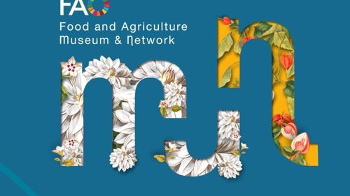 VIDEO. Muzeul imersiv dedicat alimentației, inaugurat ieri de FAO la 80 de ani de la crearea organizației. Exponatele înfățișează tradiții alimentare din întreaga lume