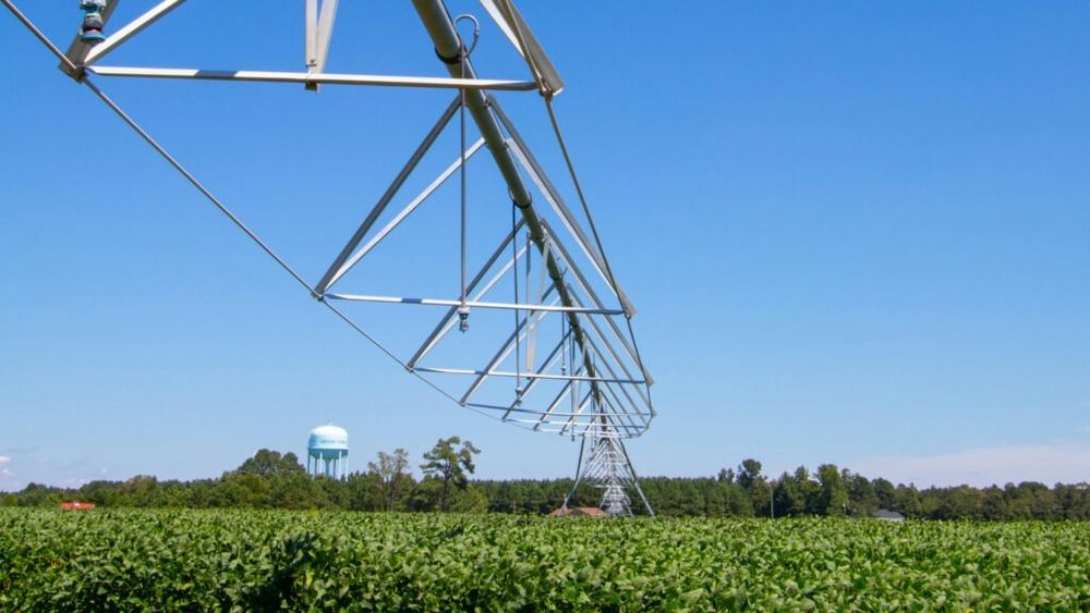 Motivul pentru care unii fermieri nu își pot uda culturile, deși au apa lângă ei: Sistemul de irigații a fost furat bucată cu bucată / Primar: ”Au vândut cu câteva milioane de lei piese de 100 de mii de euro”