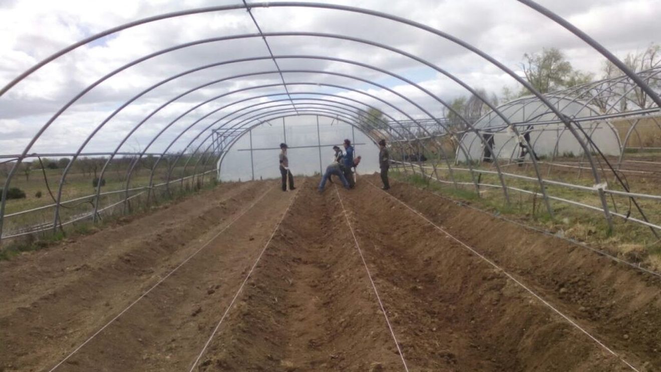 Copii și profesori din Madrid pot studia noțiuni elementare despre natură și animale domestice și practica activități agricole de bază în centrele de formare deschise în această regiune