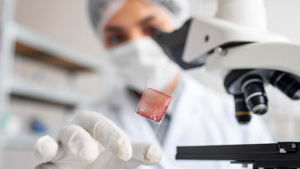 Hrana viitorului pentru animale / Carnea cultivată promite sustenabilitate și gust pe placul pisicilor