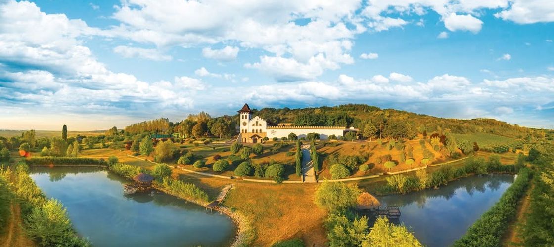 ANALIZĂ | Valul de consolidări ajunge în vinul românesc: ce înseamnă preluarea SERVE de către Purcari și de ce piața începe să se schimbe