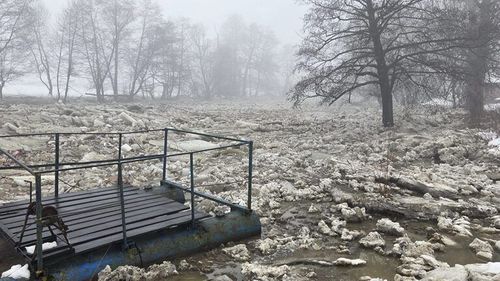 APIA: 9 martie, termen limită pentru depunerea cererilor de sprijin destinate sectorului pomicol afectat de îngheţ în 2025