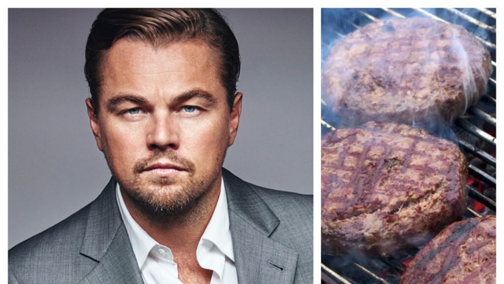 Un start-up din Olanda, susținut de Leonardo di Caprio, a cerut aprobarea UE pentru a comercializa grăsime de vită cultivată în laborator