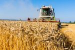 Ce își propune Guvernul Luca Niculescu în domeniul agriculturii. 12 măsuri în programul de guvernare depus la Parlament. Florin Barbu este propus Ministrul Agriculturii