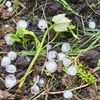 Grindina a distrus aproximativ 400 de hectare de viță-de-vie în Vrancea / Fermierii cer despăgubiri, iar sistemul antigrindină revine în centrul controversei