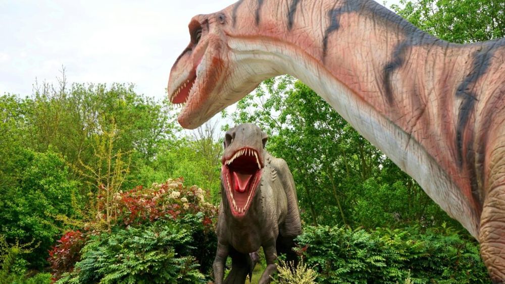 Dispariția dinozaurilor a ajutat ca strugurii să cucerească lumea