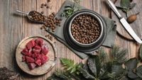 Producătoarea unui brand de snacks-uri organice pentru animale le pune și în pachetul propriilor copii. Femeia susține că prioritățile nutriționale pentru oameni ar trebui să se reflecte și în hrana animalelor de companie