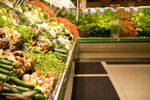 Cum vor arăta alimentele viitorului. Tendințele globale care vor schimba industria alimentară până în 2030