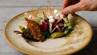 Cea mai fericită țară din lume caută 16 voluntari pentru o experiență gastronomică gratuită în Laponia și pe coastele nordice