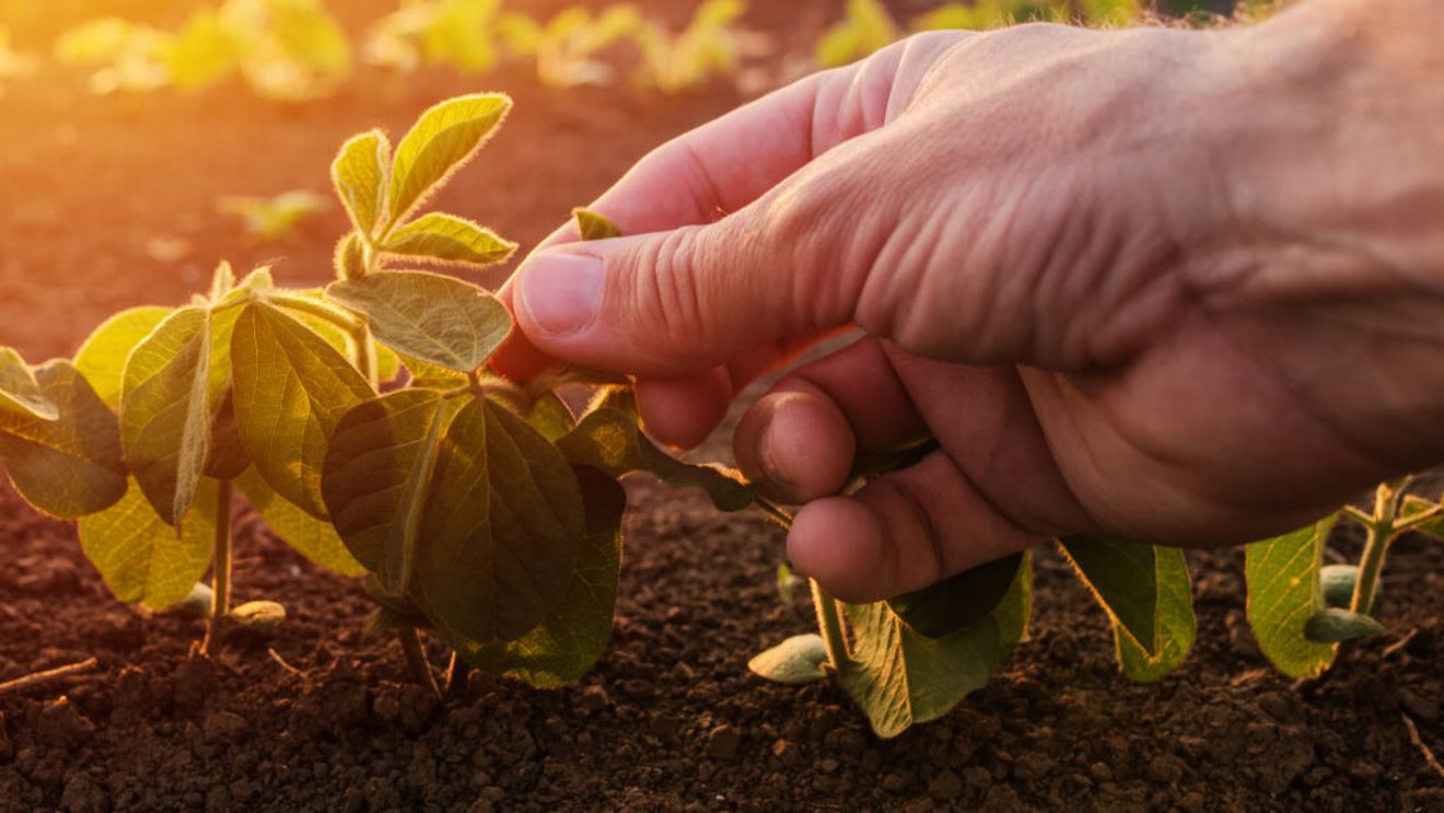 Fermierii cer schimbarea Strategiei pentru biodiversitate: „Protejarea naturii nu poate fi realizată prin transferarea costurilor exclusiv asupra fermierilor”
