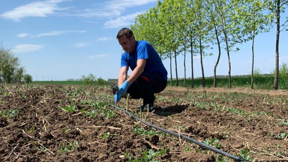 Fermierii, nemulțumiți de o prevedere din programul de guvernare/ Ar putea duce la falimentul micilor ferme de familie