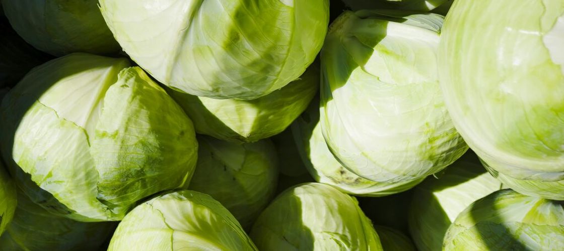 Cum să prepari varza ca să fie mai ușor de digerat și să provoace mai puțină balonare / De ce varza fermentată este mai blândă pentru stomac decât cea crudă