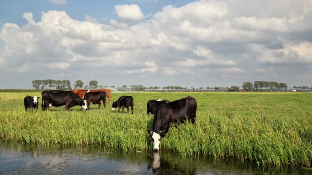 Preşedintele Comisiei de agricultură din Senat critică Guvernul pentru bugetul alocat ANSVSA: Fermierii vor fi forţaţi să plătească din propriul buzunar testele obligatorii pentru bruceloză, tuberculoză şi alte boli, costuri care se vor reflecta în preţuri mai mari pentru consumatori