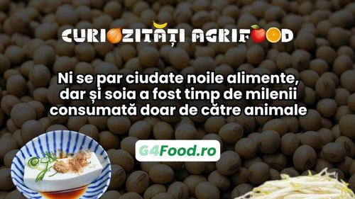 Curiozități agrifood - 19 martie: Ni se par ciudate noile alimente, dar și soia a fost timp de milenii consumată doar de către animale