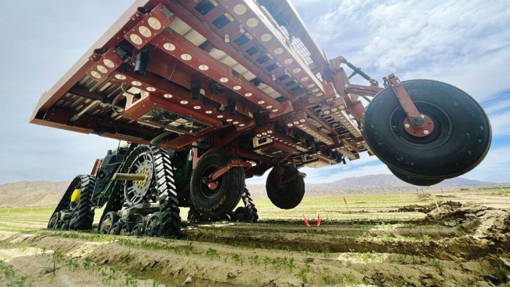 Cercetătorii vor să modifice genetic buruienile pentru a le face mai colorate / Astfel, roboții bazați pe inteligență artificială le vor identifica mai ușor