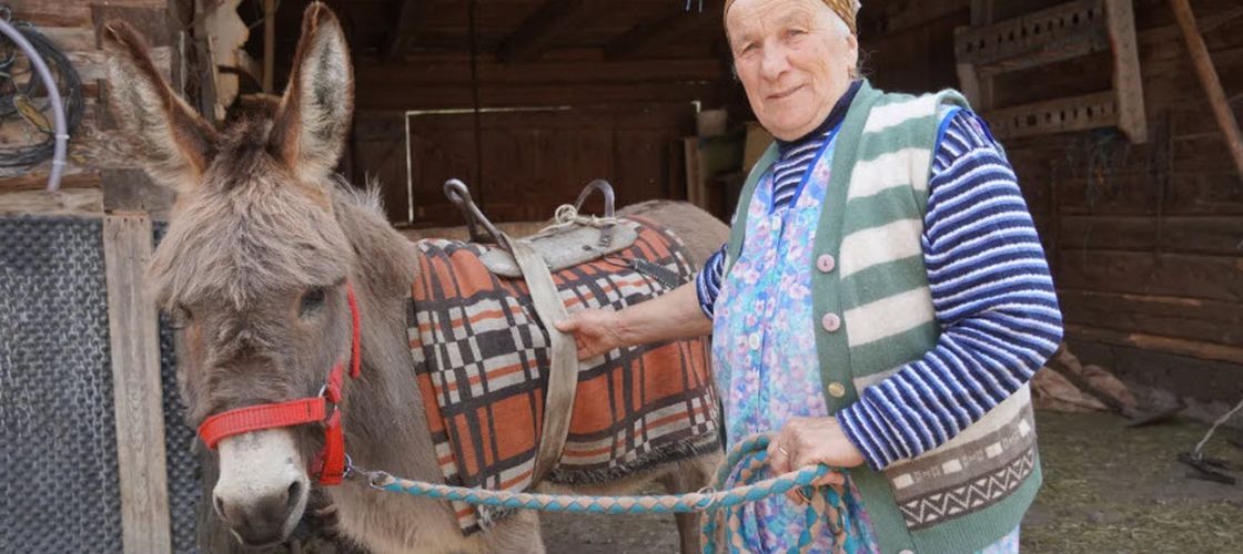 Maria Hoadrea, bunica din Țara Colibelor/ Povestea femeii care hrănește drumeții în Munții Cindrel