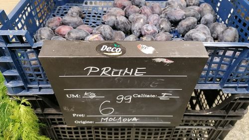 Prunele din Republica Moldova cuceresc piața europeană; ce soluții au găsit fermierii moldoveni ca să crească exporturile