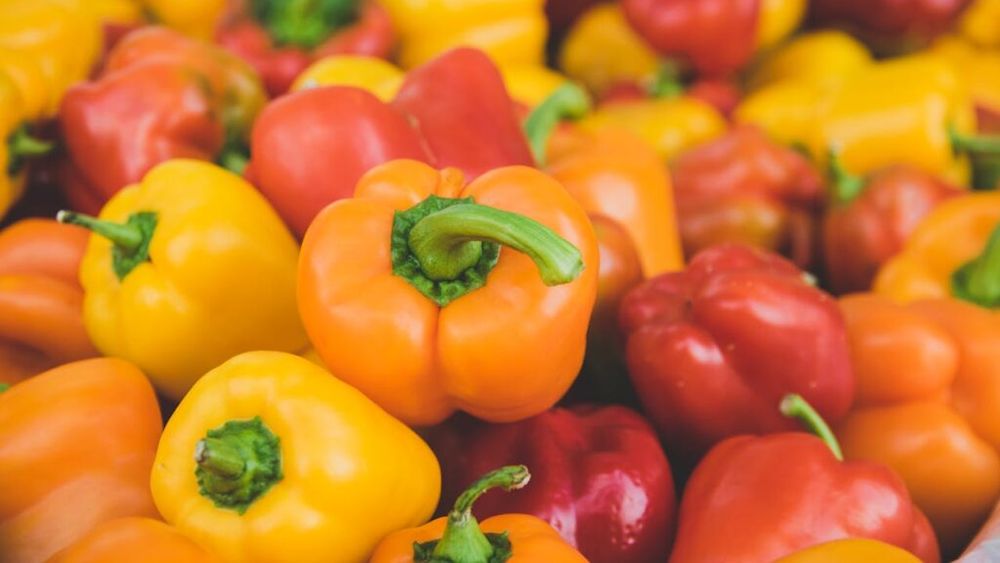 Primăvara nefavorabilă a creat fluctuații la cultura ardeilor în Belgia/Producătorii spun că este un an „cu suișuri și coborâșuri”