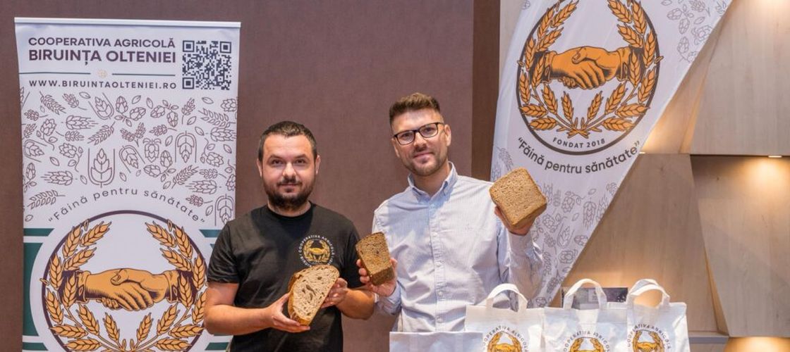 VIDEO | Un mălai românesc a strâns 700 de comenzi într-o singură zi. Producător: „Am ales să cultivăm porumb sticlos” / „Măcinăm fix pe comandă”