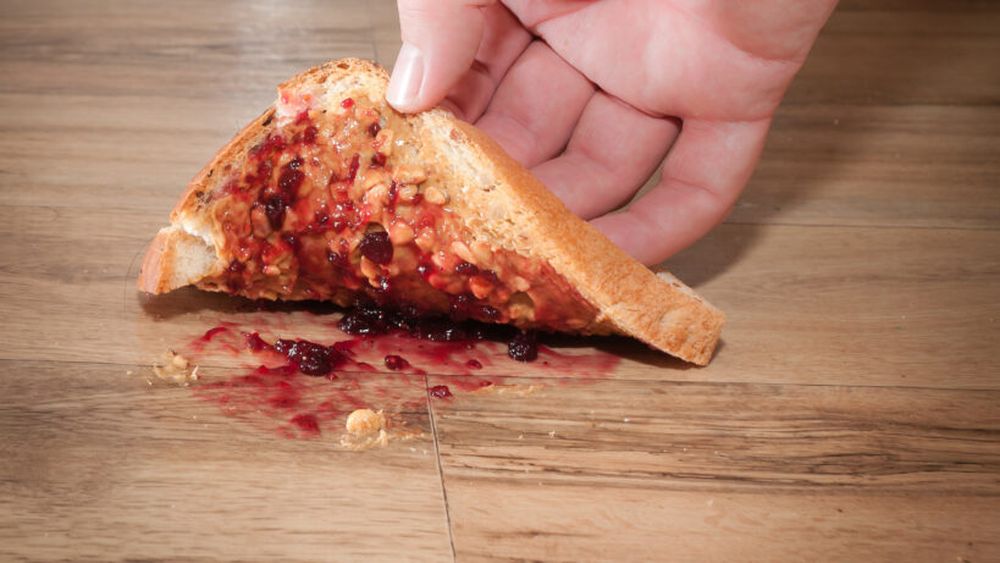 „Regula de 5 secunde”, demontată de știință: cât de sigur este, de fapt, să mănânci mâncarea scăpată pe jos