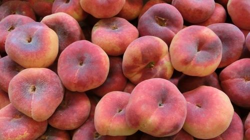 ABC în bucătărie | Cum să congelezi și să conservi piersicile proaspete pentru iarnă/ Beneficiile surprinzătoare ale acestui fruct