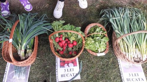 Grădina din curtea școlii: Legumele bio ale elevilor din Oravița au ajuns pe tarabele din piață / Banii obținuți sunt folosiți pentru achiziționarea de noi răsaduri
