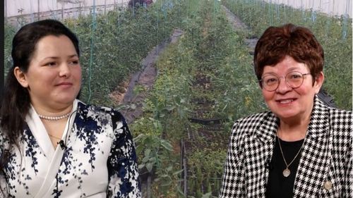 VIDEO | Agricultura în schimbare | Luciana Stan a renunțat la meseria de consultant ca să cultive legume în sistem ecologic: „Nu e greu, e foarte greu. Resursa umană e cea mai mare problemă a fermierilor”