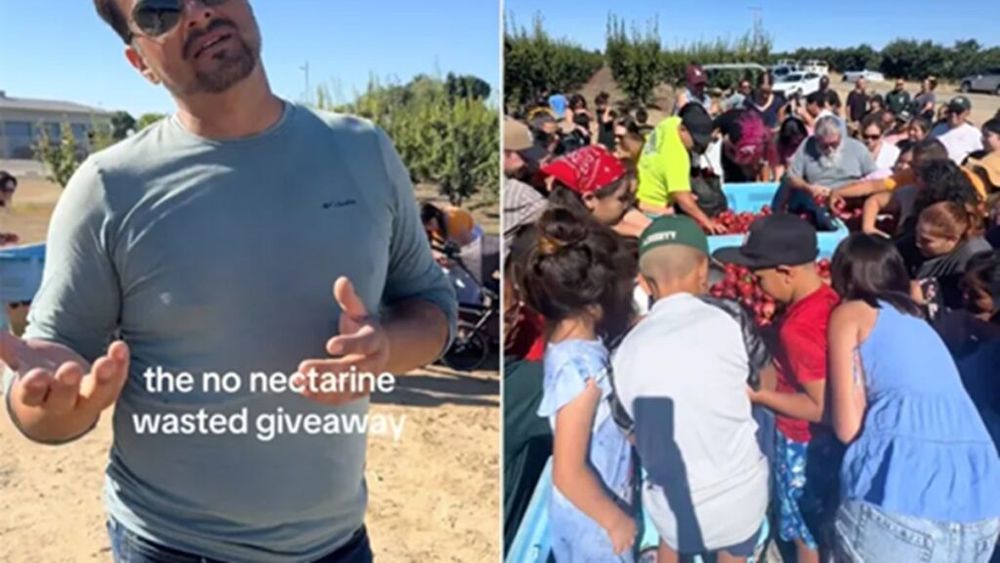 Un fermier din California oferă gratuit 57 de tone de nectarine / Spune că un conflict juridic l-a împiedicat să le mai vândă