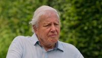 Ce mănâncă Sir David Attenborough la 100 de ani / Naturalistul spune că și-a schimbat complet alimentația: „Am devenit mult mai vegetarian decât credeam că voi fi vreodată”