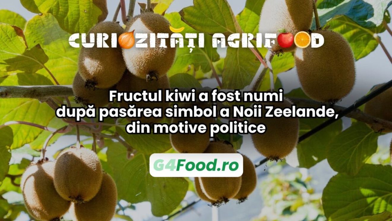 Curiozități agri-food 07 ianuarie: Fructul kiwi a fost numit după pasărea simbol a Noii Zeelande, din motive politice