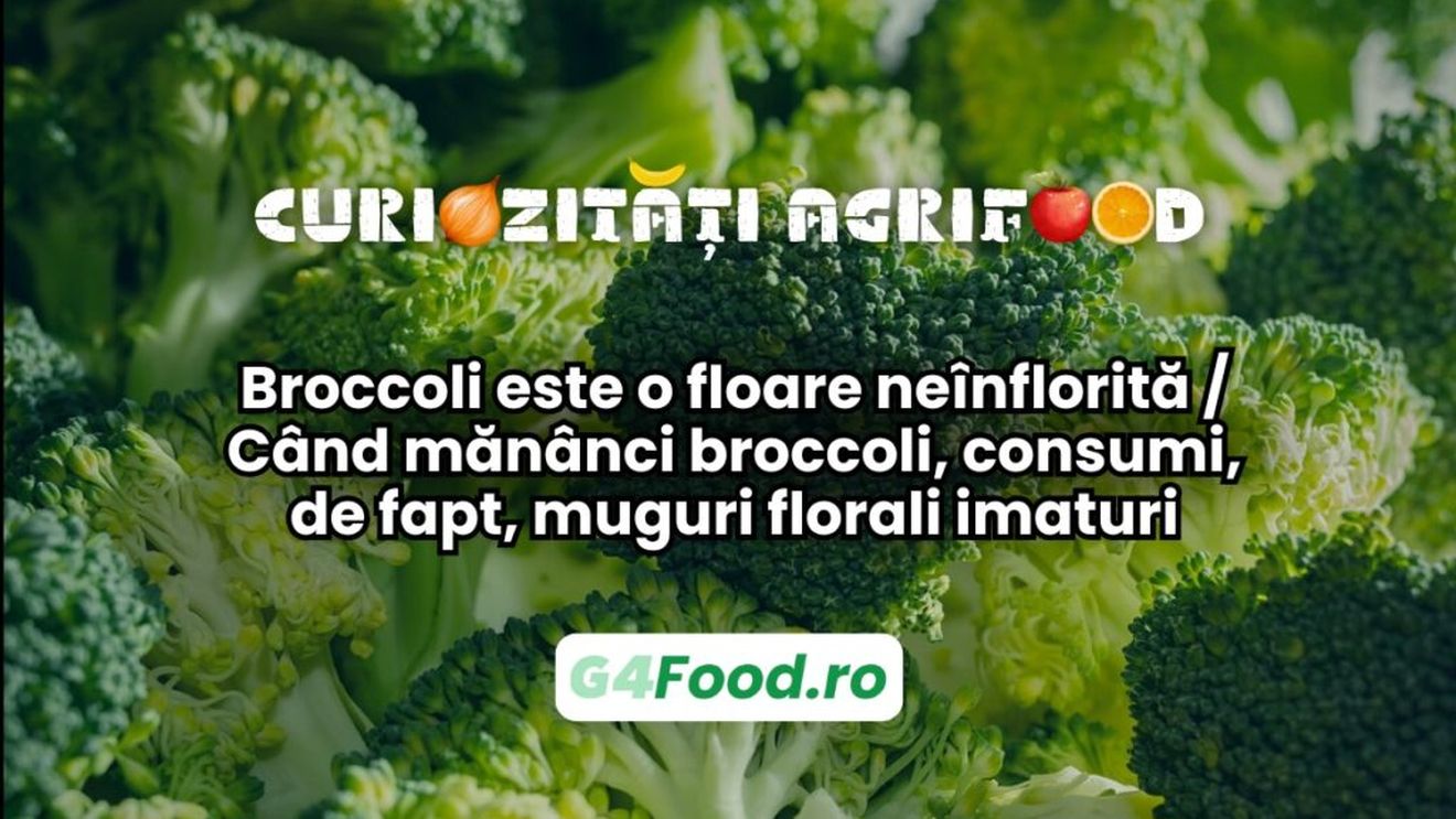Curiozități agri-food 04 februarie: Broccoli este o floare neînflorită / Când mănânci broccoli, consumi, de fapt, muguri florali imaturi