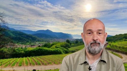 VIDEO | Connaisseur fără ifose (Ep. 31): Vinul românesc, într-o fundătură a imaginației?