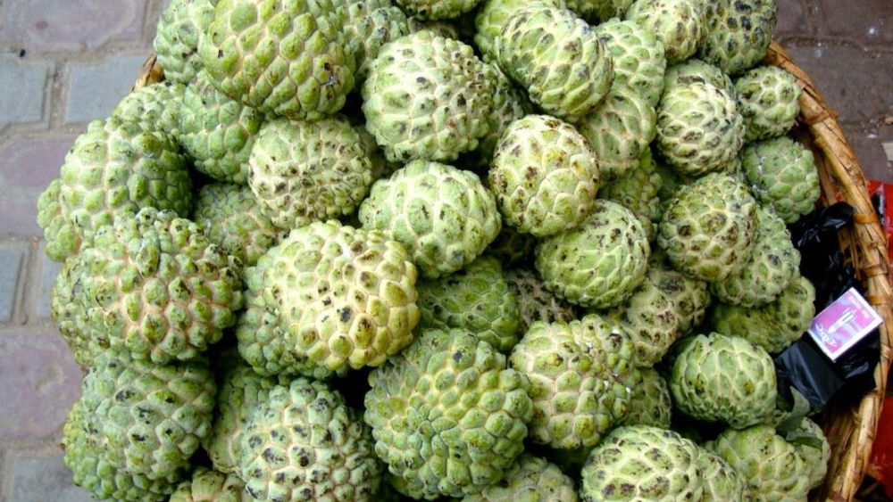 Magazinele „secrete” unde găsești fructe și legume nemaivăzute în supermarketuri. Ce este „râma verde”