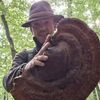 FOTO | Tai ciuperca sau o scoți întreagă din pământ? / Cum se culeg și se păstrează corect ciupercile de pădure / Florin Bustan explică de ce coșul de nuiele este cea mai bună alegere