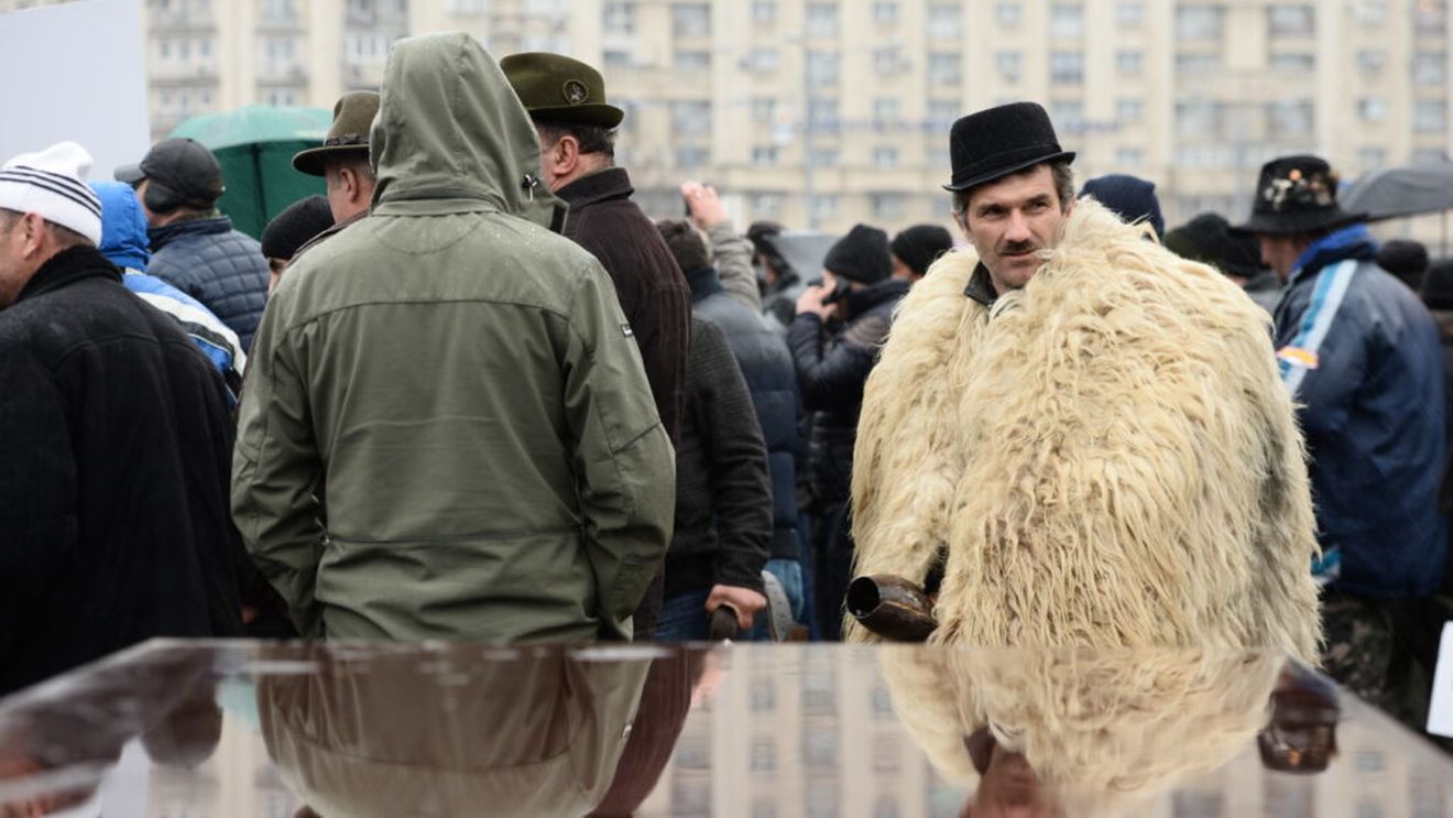Crescătorii de oi protestează vineri pentru că nu și-au primit subvențiile / „Trebuie să lucrăm la străini, că acolo e mai bine”